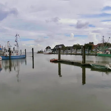 度假居 Duenenroeschen 布尔哈沃